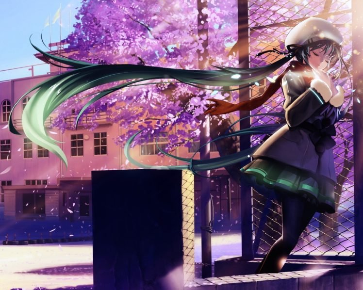 Vocaloid, Hatsune Miku, Cherry blossom HD Wallpaper Desktop Background