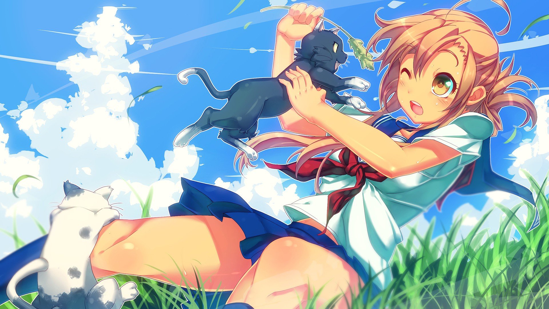 anime, Anime girls, Cat, Clouds, Grass, Schoolgirls, School uniform, Nyan Koi Wallpaper