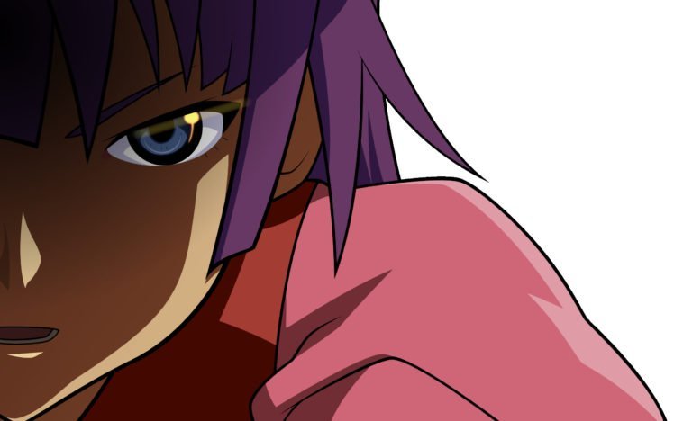 Monogatari Series, Senjougahara Hitagi, Anime girls, Anime vectors HD Wallpaper Desktop Background