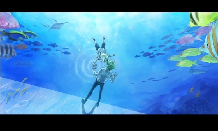 One Piece, Fish HD Wallpaper Desktop Background