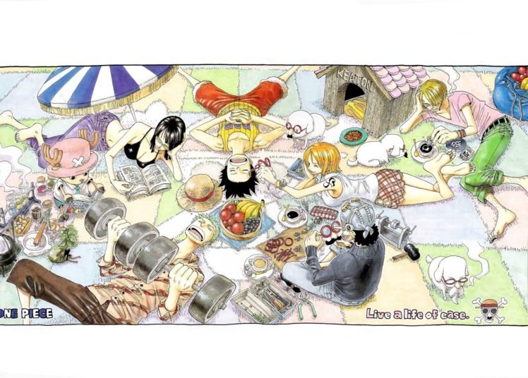 One Piece, Roronoa Zoro, Sanji, Nico Robin, Monkey D. Luffy, Usopp, Fruit HD Wallpaper Desktop Background
