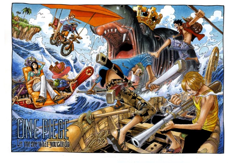 One Piece, Sanji, Roronoa Zoro, Nico Robin, Monkey D. Luffy, Tony Tony Chopper, Usopp, Nami HD Wallpaper Desktop Background