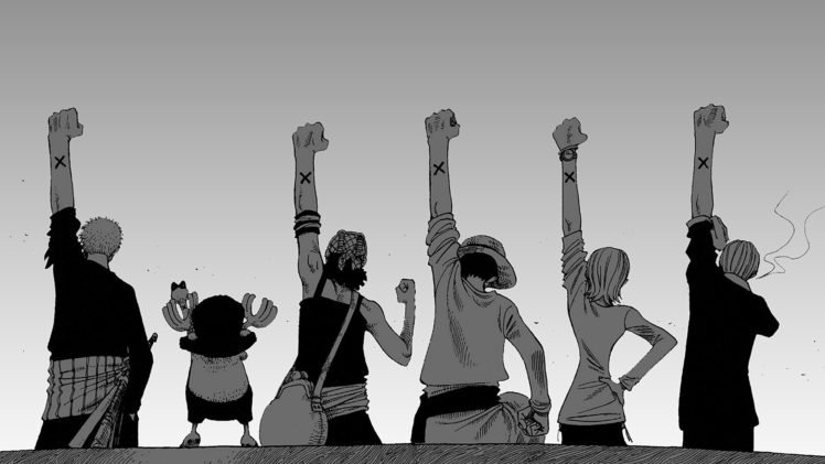 One Piece, Roronoa Zoro, Tony Tony Chopper, Usopp, Monkey D. Luffy, Nami, Sanji HD Wallpaper Desktop Background