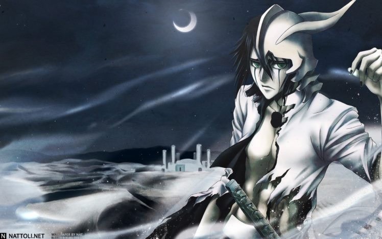 anime, Bleach, Ulquiorra Cifer, Espada HD Wallpaper Desktop Background