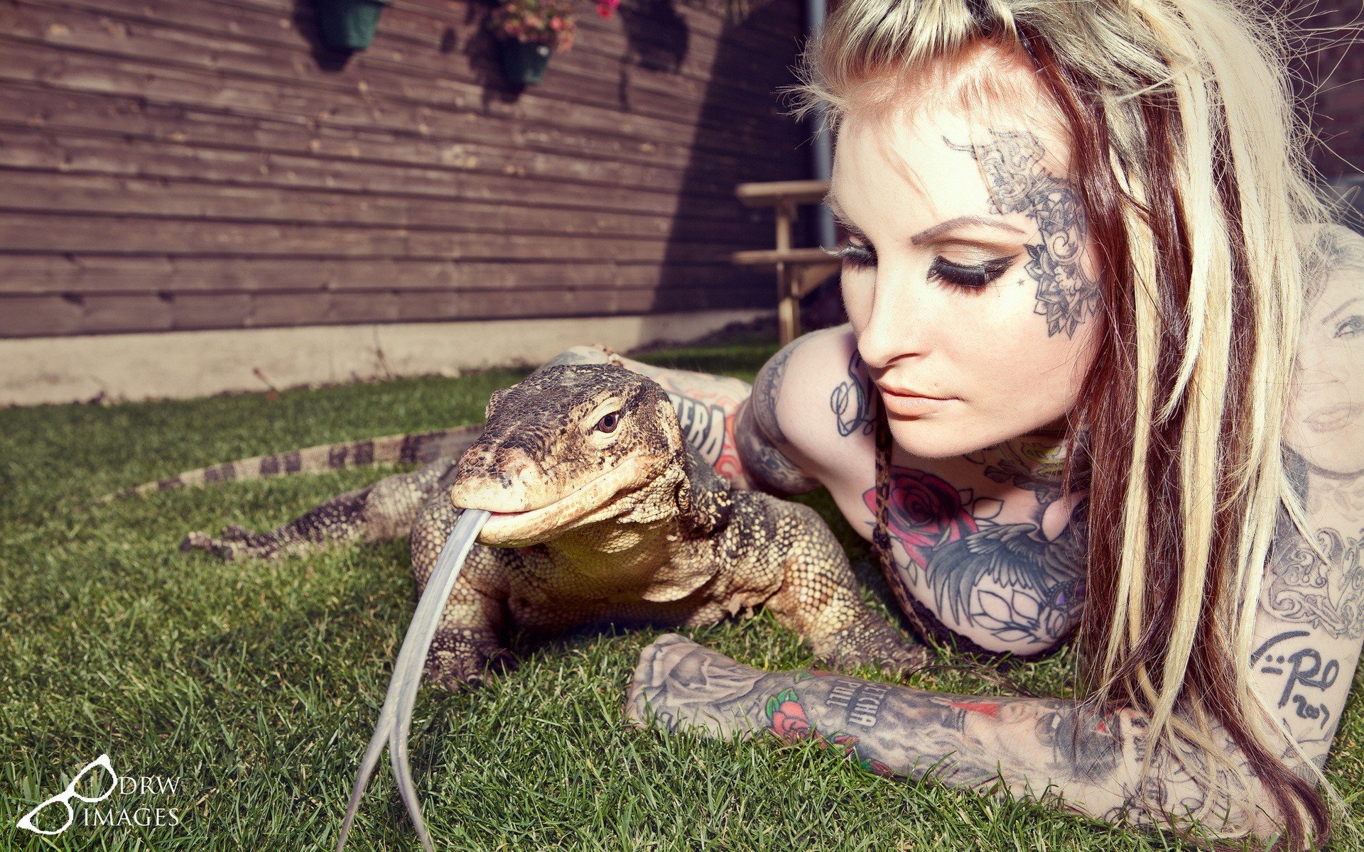 tattoo, Women, Animals, Reptile, Women outdoors, Blonde Wallpaper
