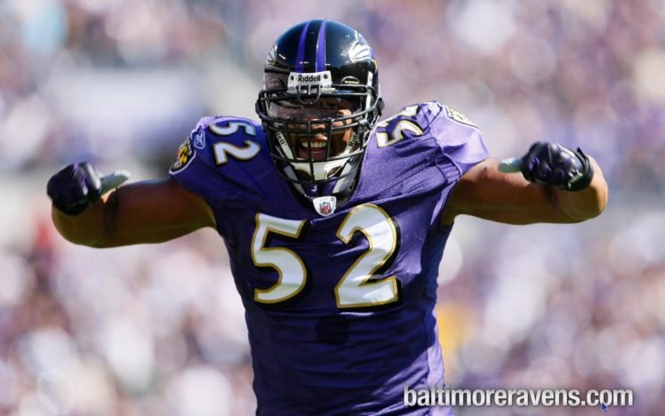 Baltimore Ravens, Ray Lewis, NFL HD Wallpaper Desktop Background