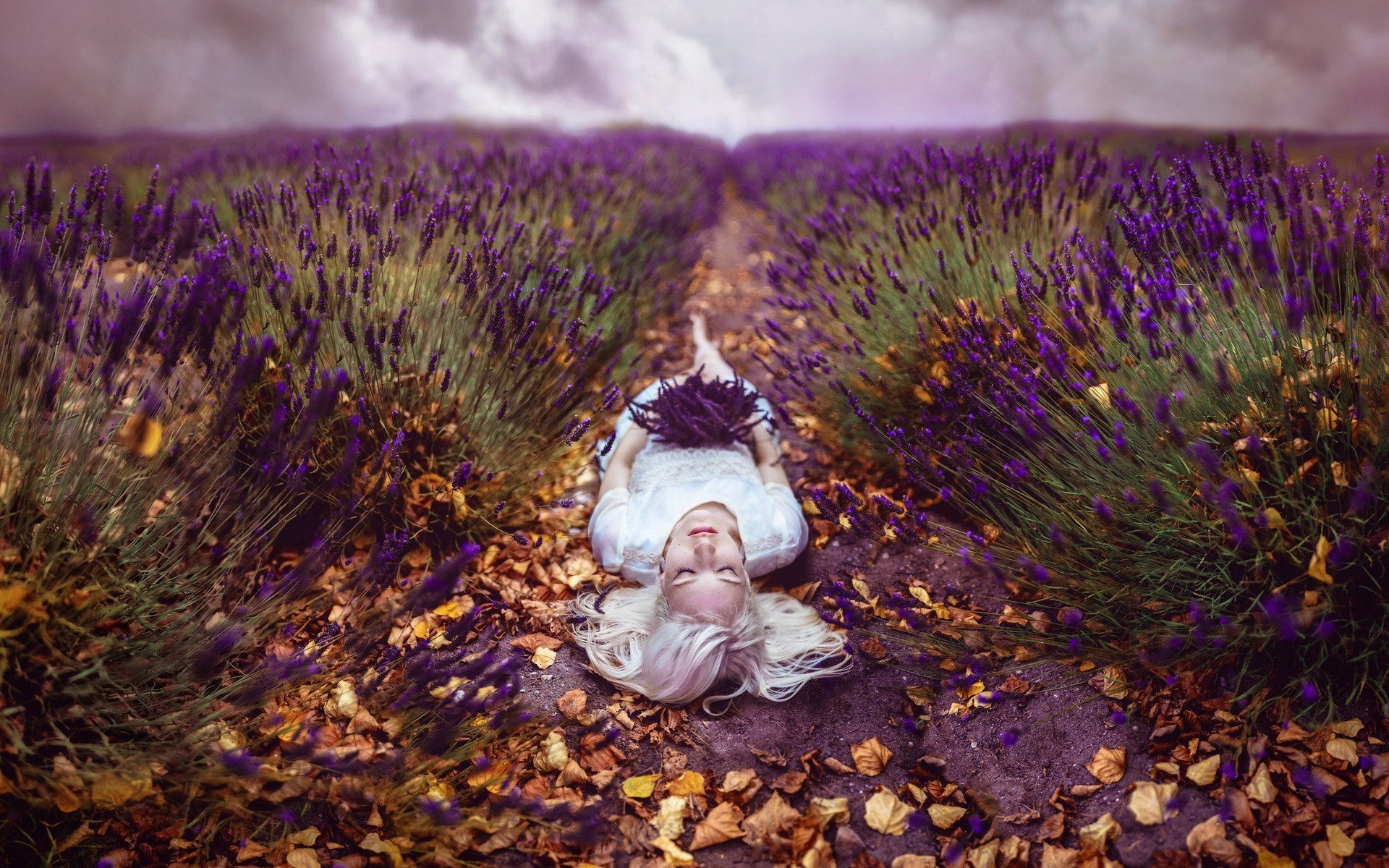 model, Lavender, Purple flowers, Lying down, Blonde, Closed eyes, Leaves, Women outdoors Wallpaper