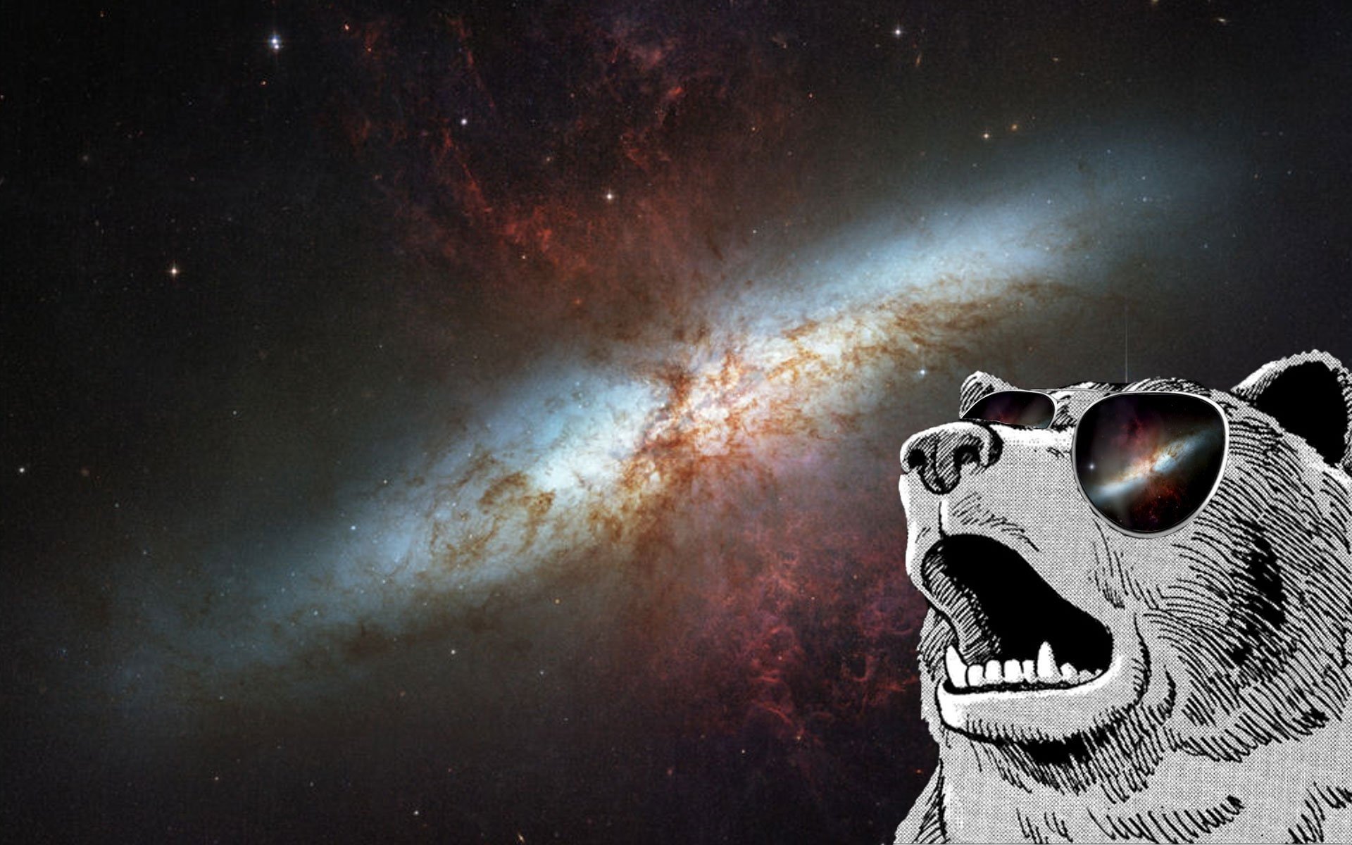 animals, Sunglasses, Space art, Space, Galaxy HD Wallpapers / Desktop