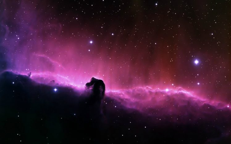 space, Horsehead Nebula HD Wallpaper Desktop Background
