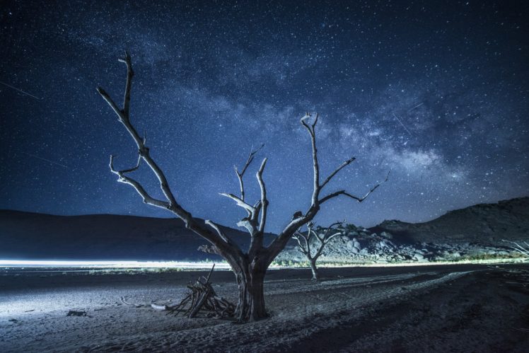 night, Universe, Trees HD Wallpaper Desktop Background