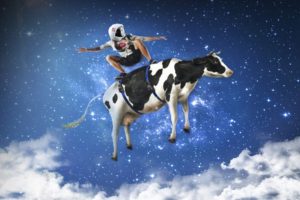 cows, Space, Blue, Photoshop