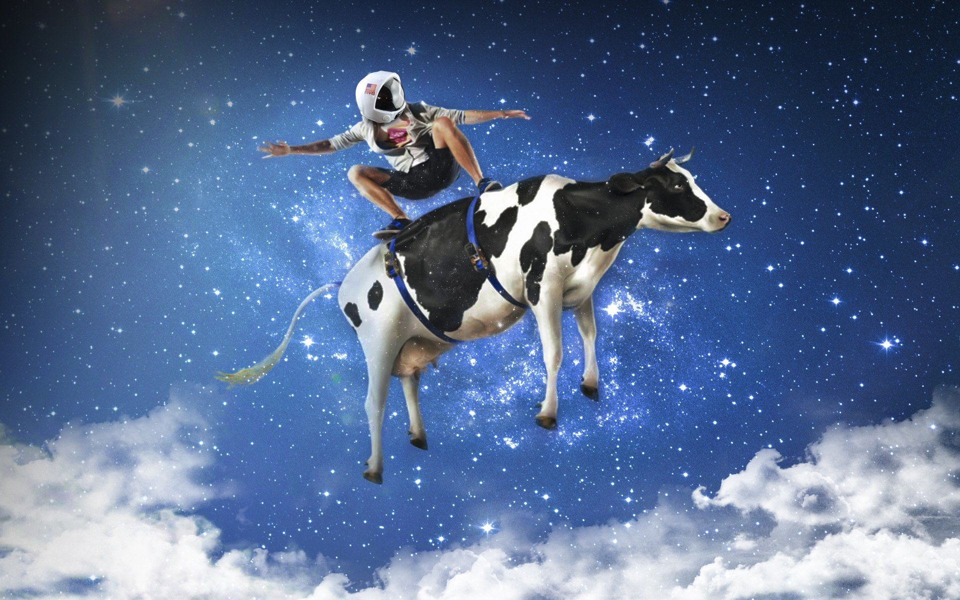 cows, Space, Blue, Photoshop Wallpaper