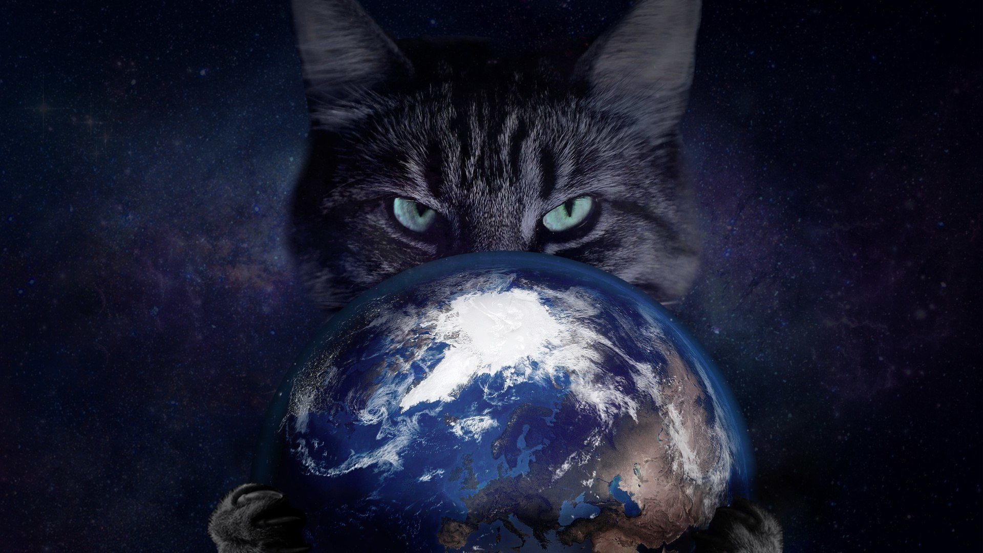 space, Cat, Earth Wallpaper