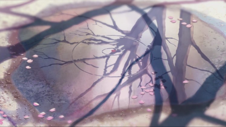 5 Centimeters Per Second, Puddle, Reflection, Flower petals, Cherry blossom, Makoto Shinkai HD Wallpaper Desktop Background