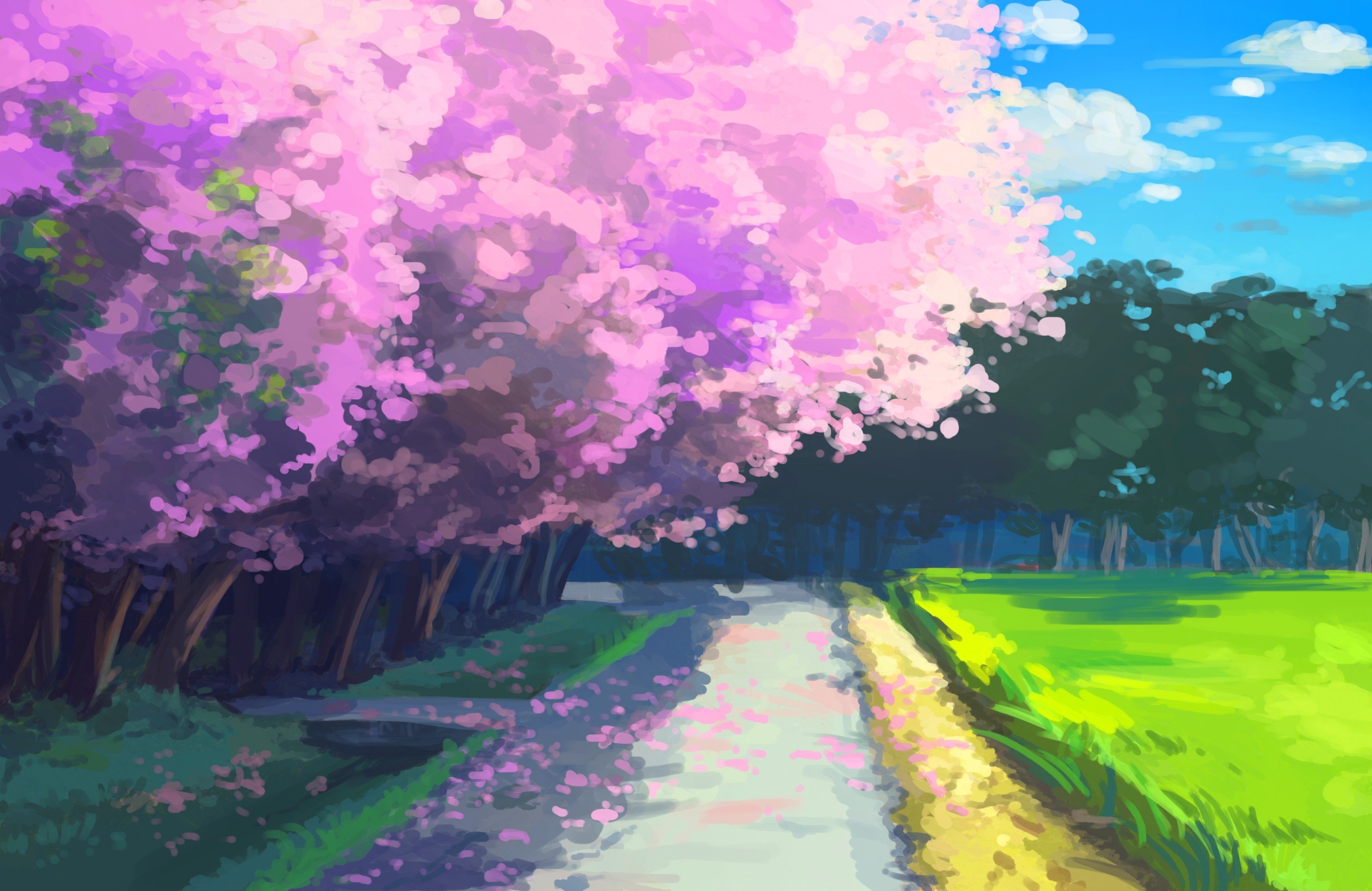 anime, Cherry blossom HD Wallpapers / Desktop and Mobile ...