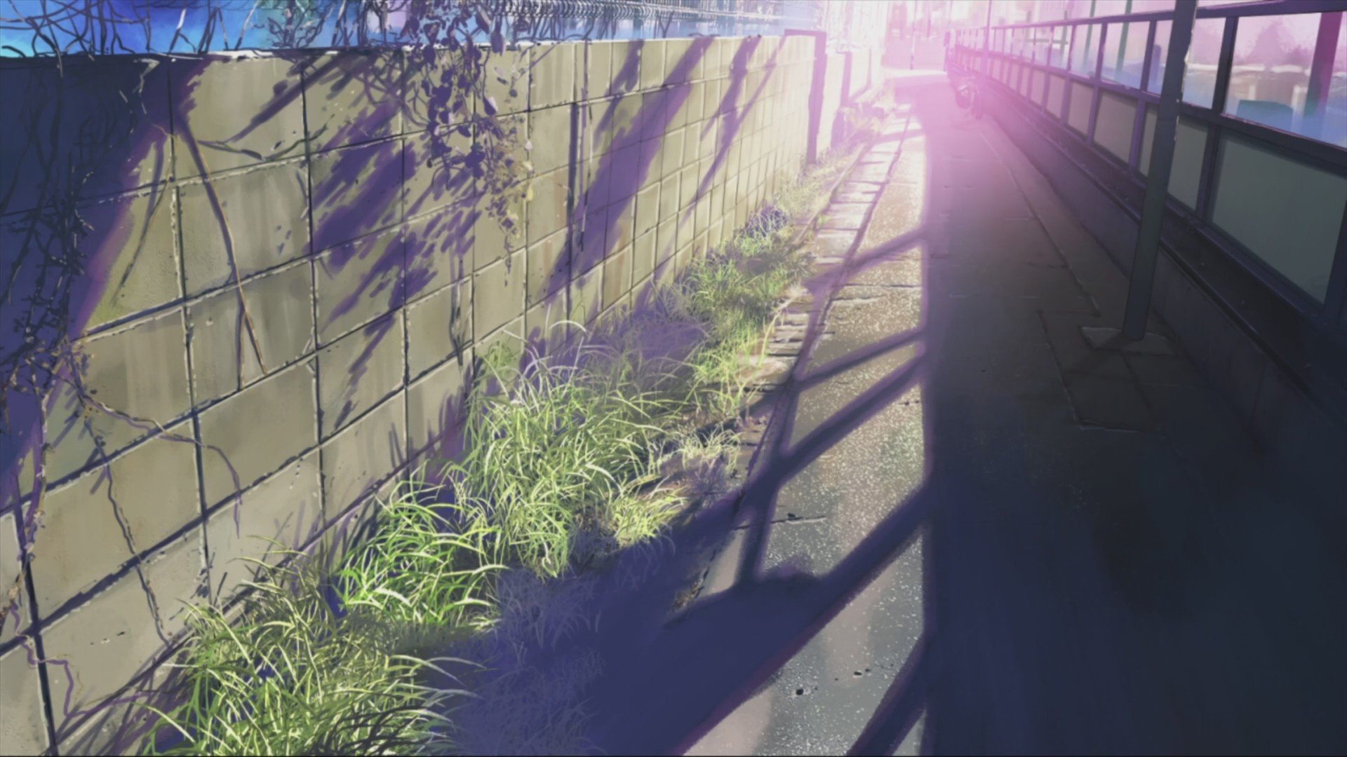 Anime 5 Centimeters Per Second Makoto Shinkai Hd Wallpapers