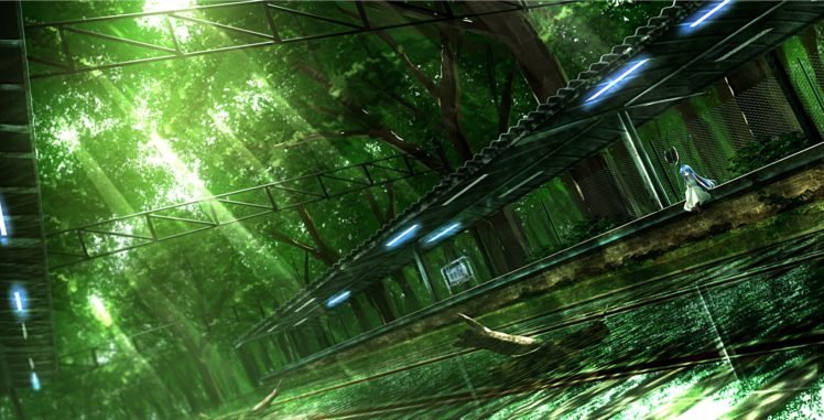 anime, Wood, Nature HD Wallpaper Desktop Background