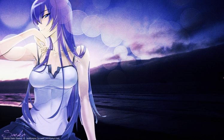 Busujima Saeko, Highschool of the Dead, Anime girls, Purple hair HD Wallpaper Desktop Background