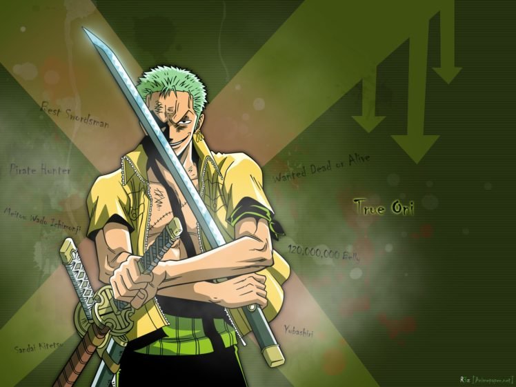 One Piece, Roronoa Zoro HD Wallpaper Desktop Background