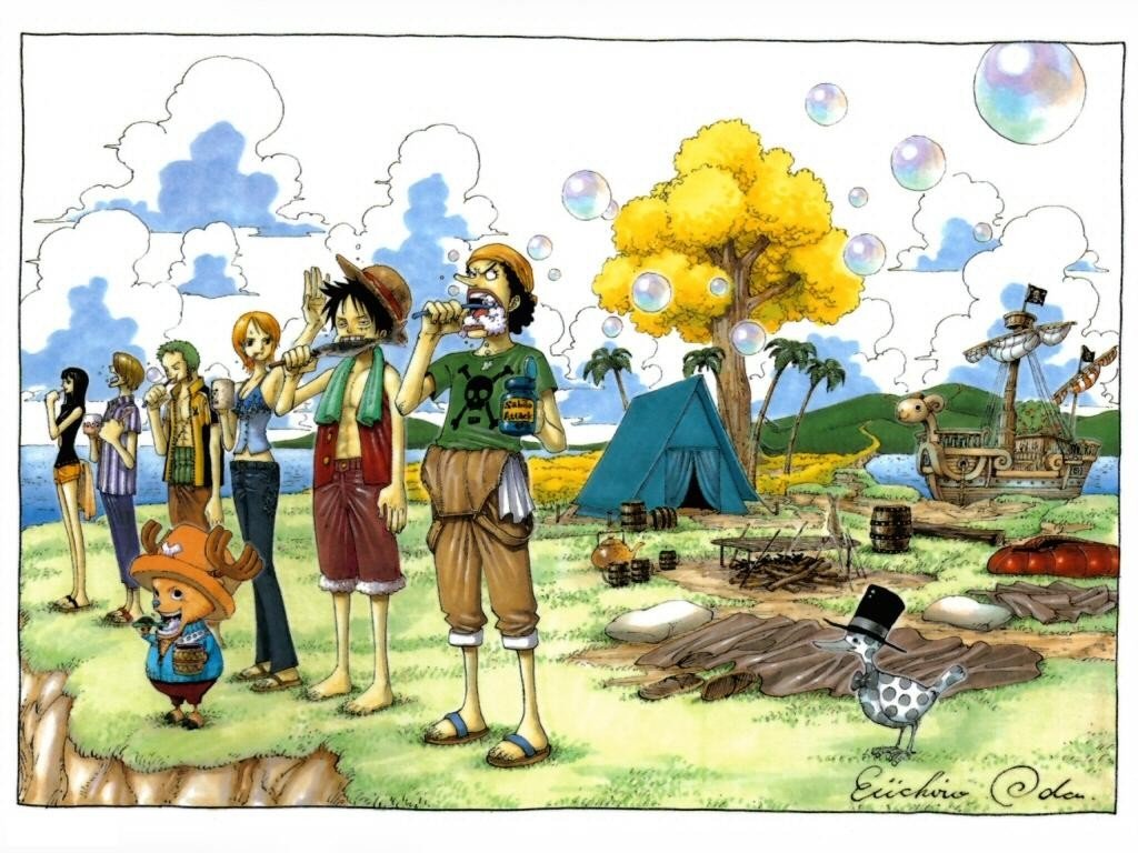 One Piece, Monkey D. Luffy, Tony Tony Chopper, Usopp, Nami, Roronoa Zoro, Sanji, Nico Robin Wallpaper