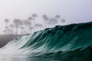 waves, Trees, Mist, Water