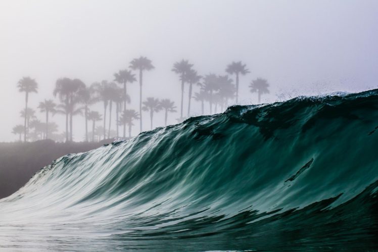 waves, Trees, Mist, Water HD Wallpaper Desktop Background