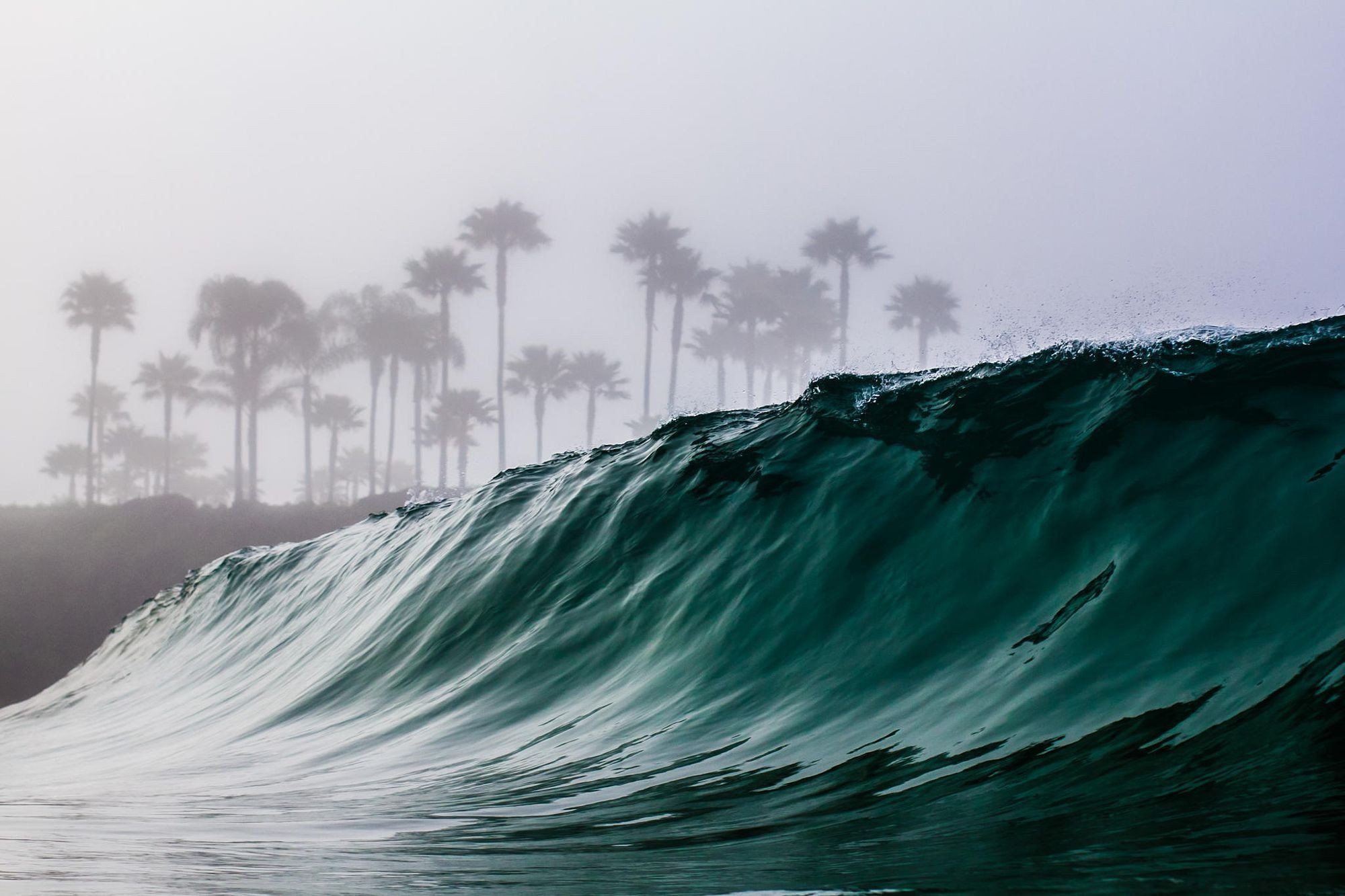 waves, Trees, Mist, Water Wallpaper