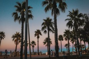 Barcelona, Sunset, Palm trees