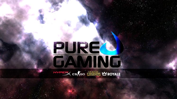 Counter Strike: Global Offensive, SK Gaming, Pure Gaming HD Wallpaper Desktop Background