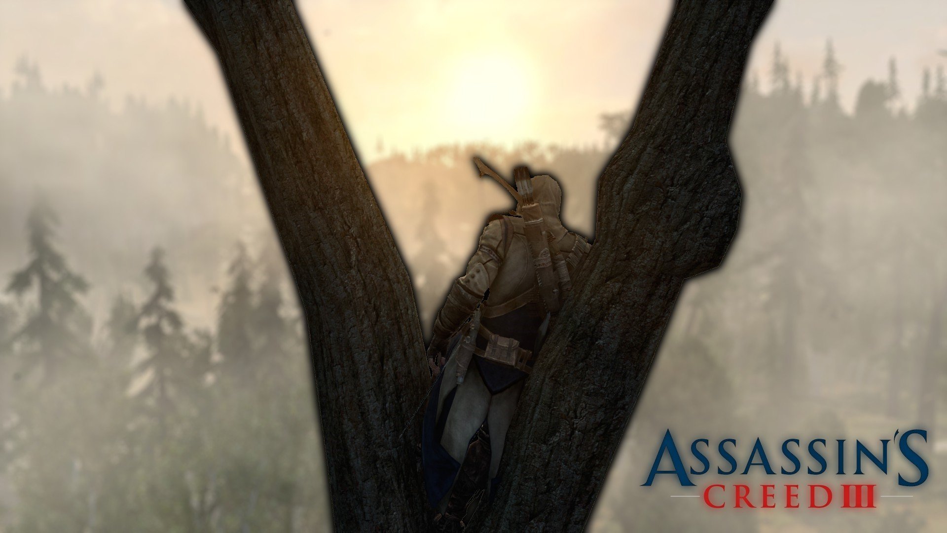 Assassin&039;s Creed, Pine trees, Sun rays Wallpaper