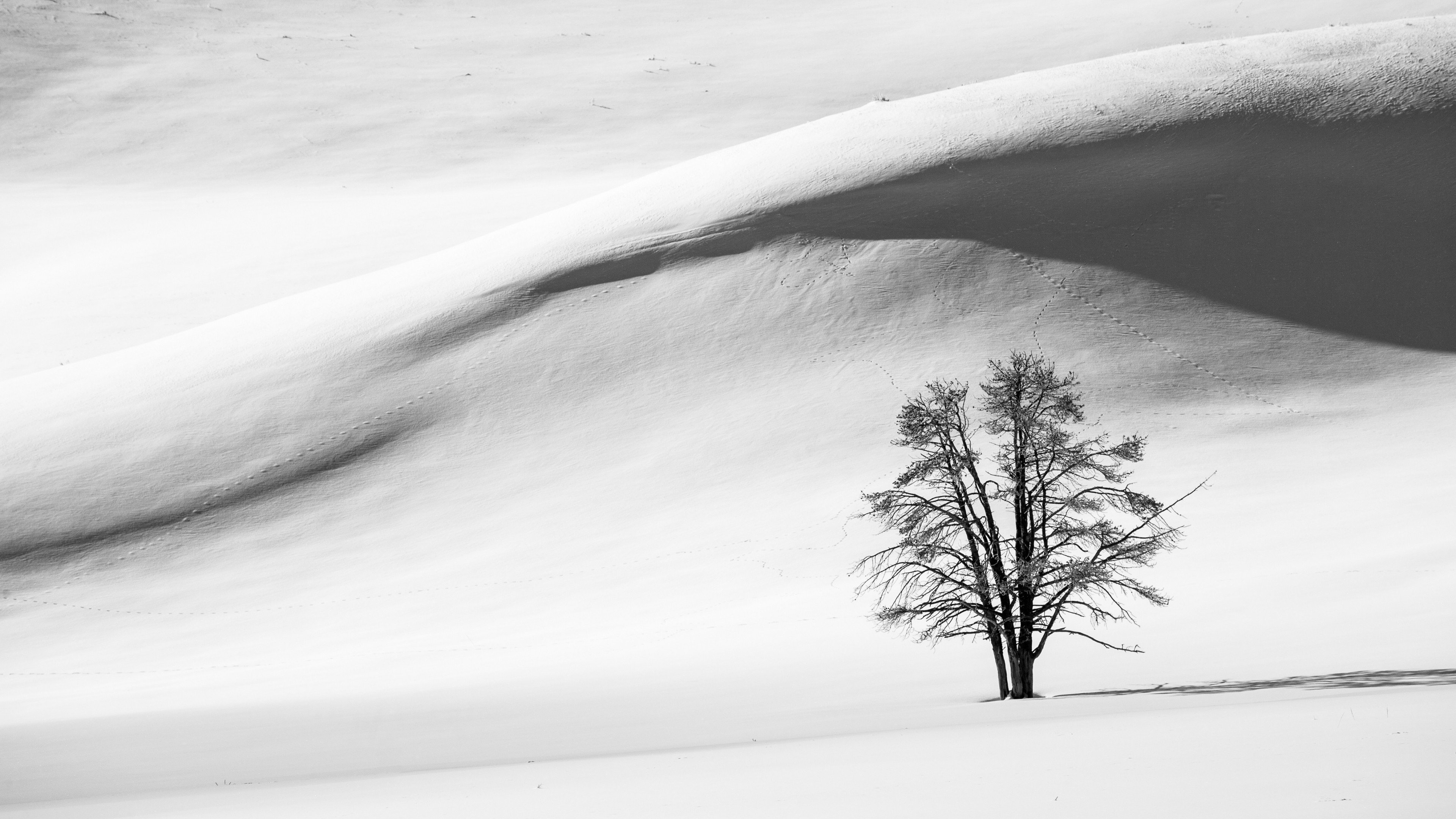 nature, Landscape, Trees, Winter, Snow, Hills, Monochrome, Shadow Wallpaper