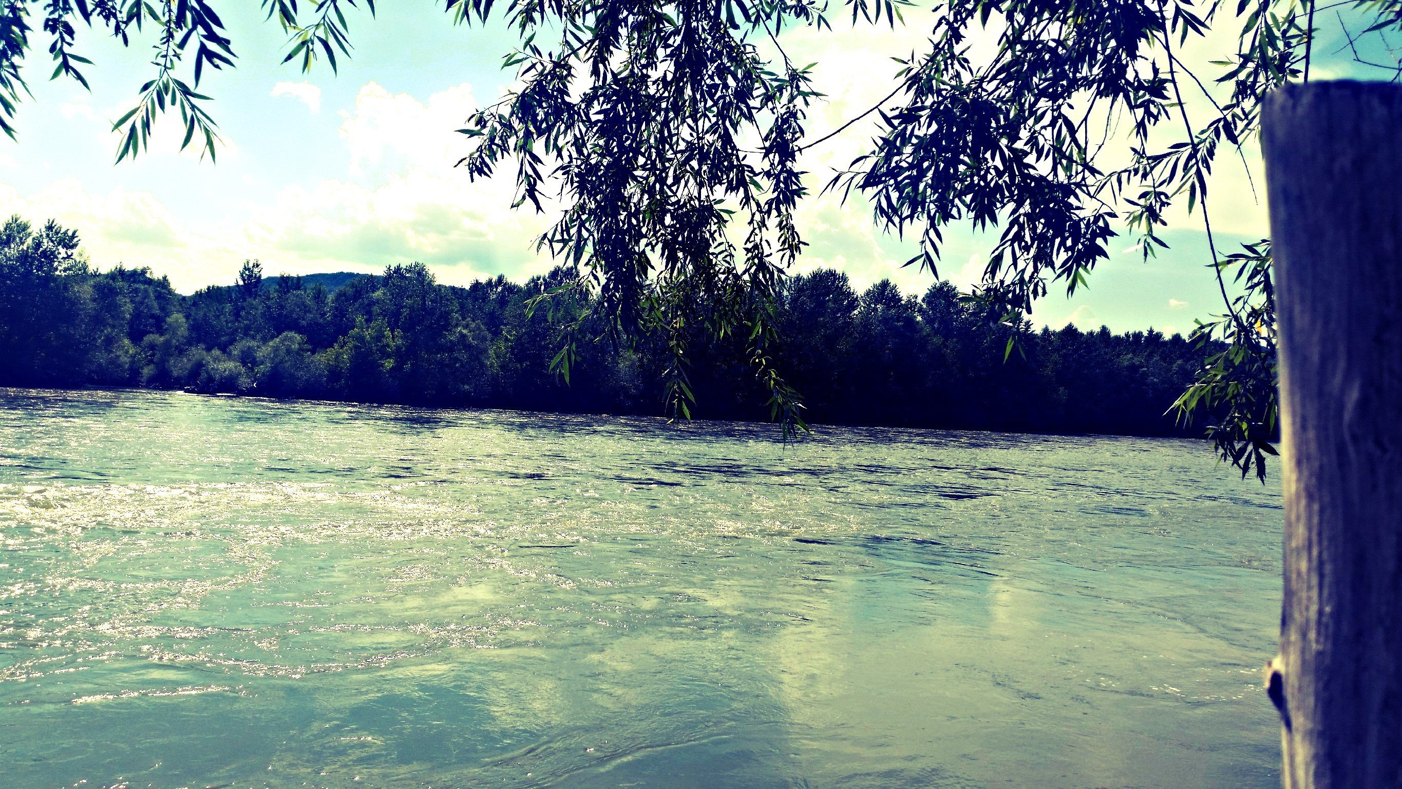 landscape, River, Summer, Serbia, Trees Wallpaper