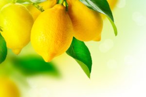 lemons, Fruit