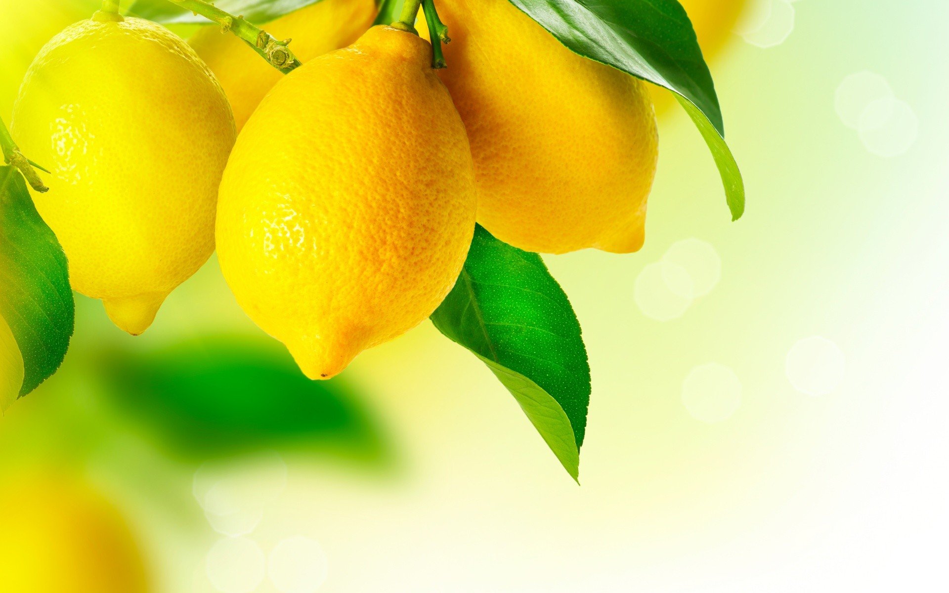 lemons, Fruit Wallpaper