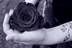 women, Hands, Rose, Flowers