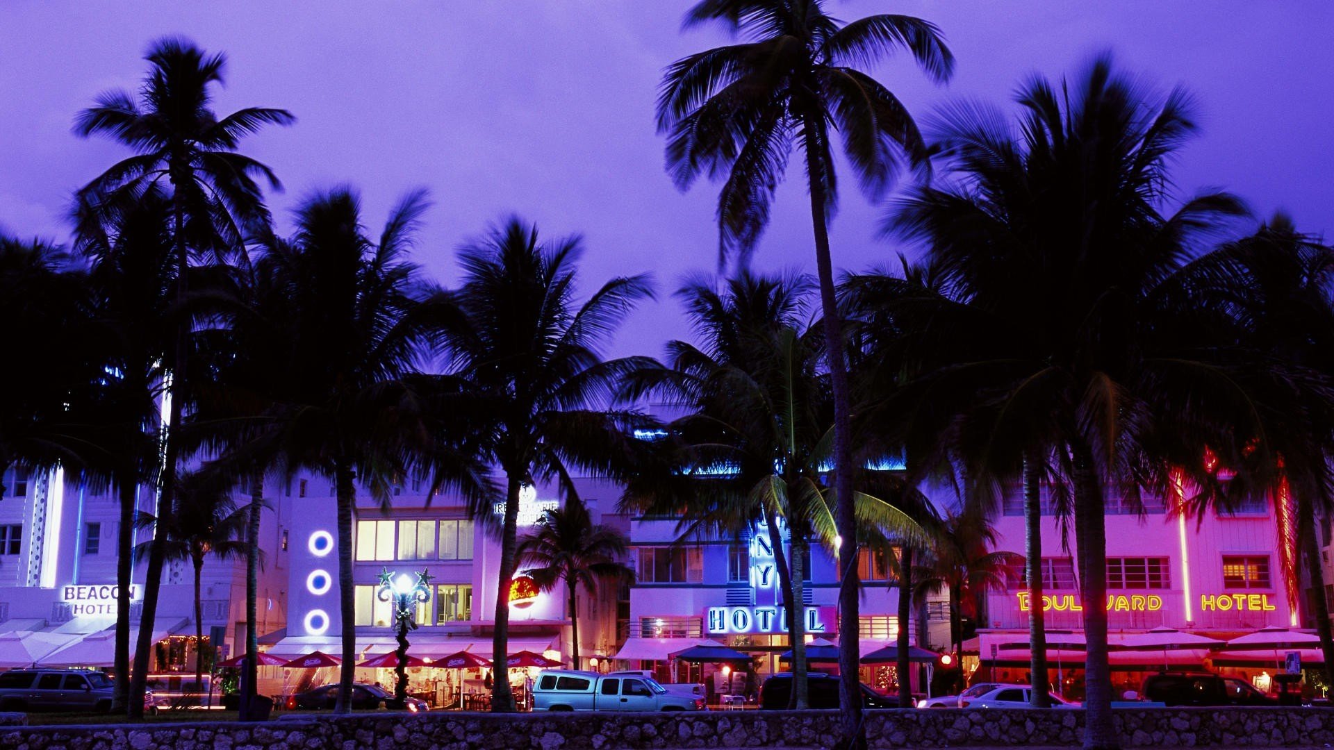 cityscape, Palm trees, Miami, Miami Beach Wallpaper