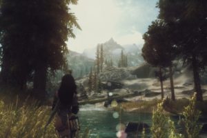 The Elder Scrolls V: Skyrim, Video games
