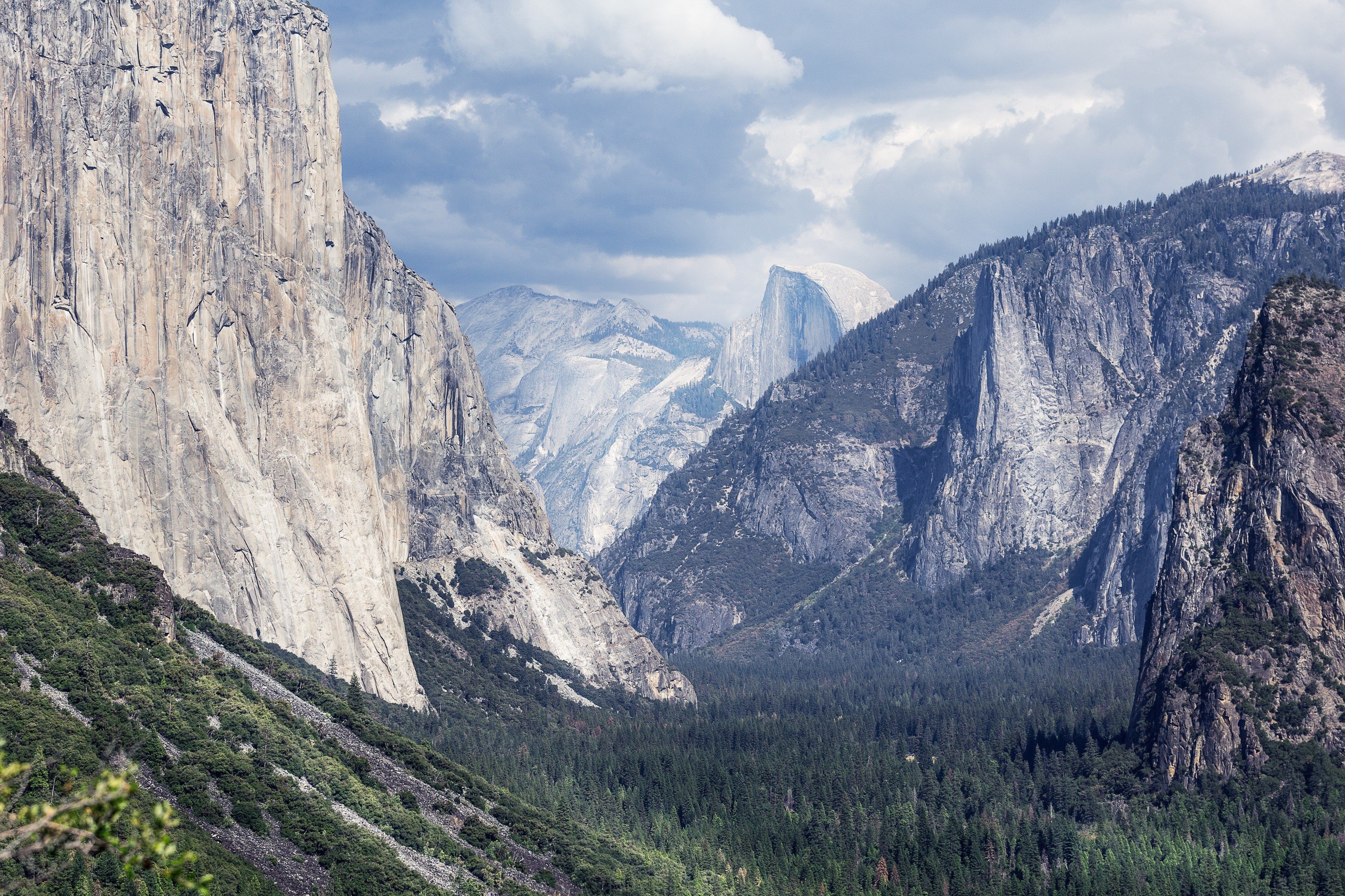nature, Trees, Yosemite Valley, Yosemite National Park Wallpaper