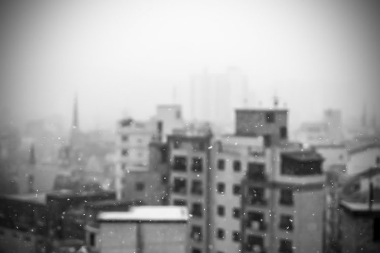 snow, Snowdrops, Monochrome HD Wallpaper Desktop Background