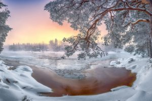 winter, Landscape, Snow, Trees, Nature