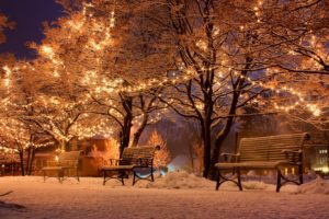 urban, Snow, Bench, Trees