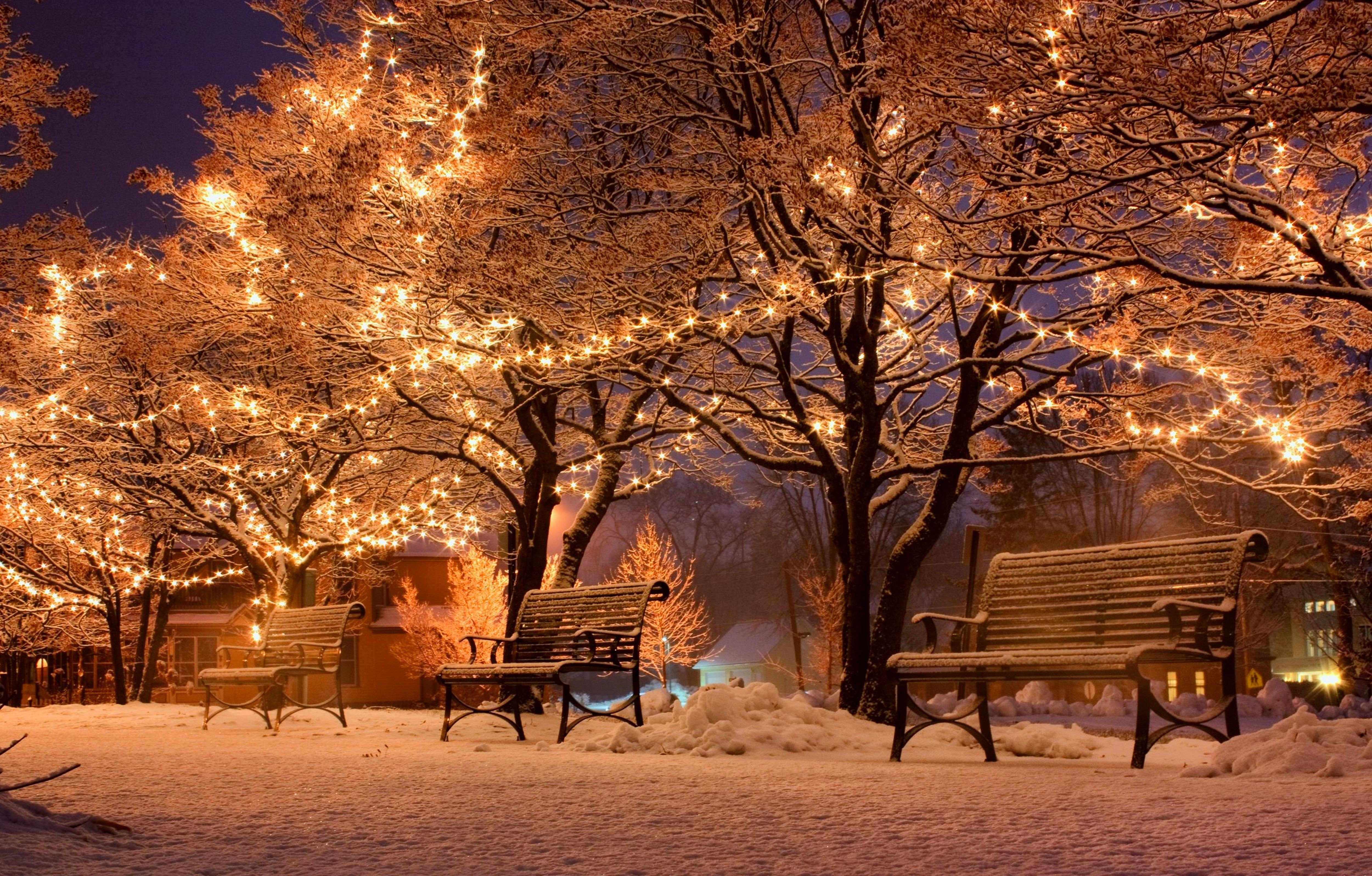 urban, Snow, Bench, Trees Wallpaper