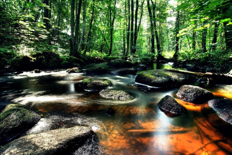 landscape, Forest, River, Rocks HD Wallpaper Desktop Background