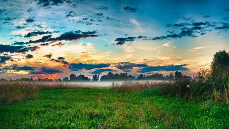 nature, Landscape, Grass, Mist HD Wallpaper Desktop Background
