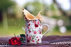 rose, Flowers, Cup, Coffee