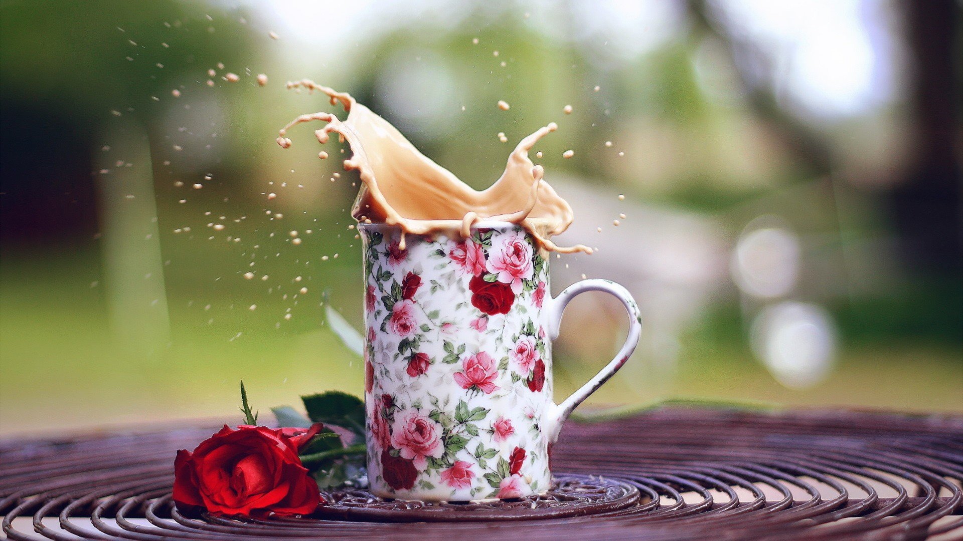 rose, Flowers, Cup, Coffee Wallpaper