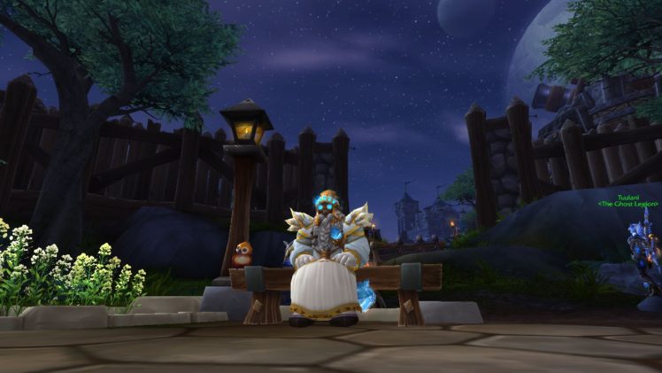 Dwarfs Priest World Of Warcraft Dwarf Stormshield Night