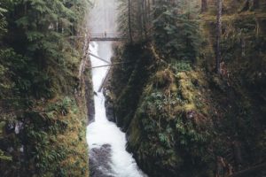 landscape, Forest, Waterfall