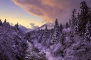 winter, Landscape, Nature, Snow, Trees