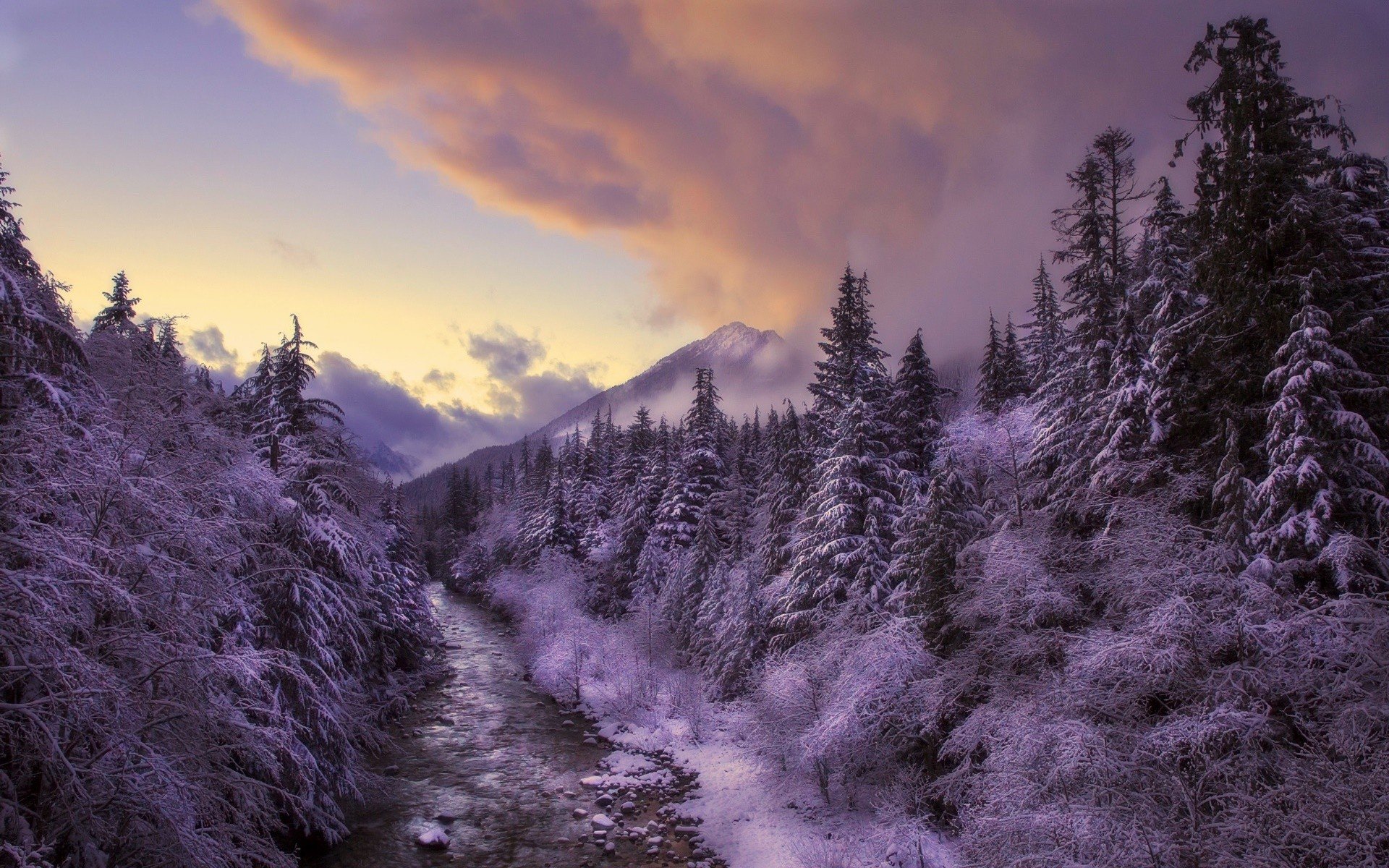 winter, Landscape, Nature, Snow, Trees Wallpaper